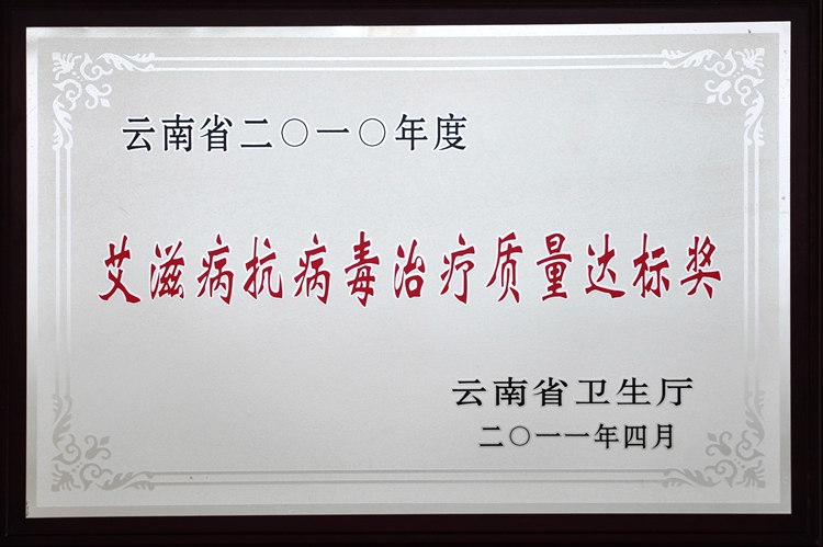 26云南省二〇一O年度艾滋高抗高毒治疗质量达标奖.jpg
