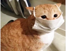 1619678611832965.png image.png